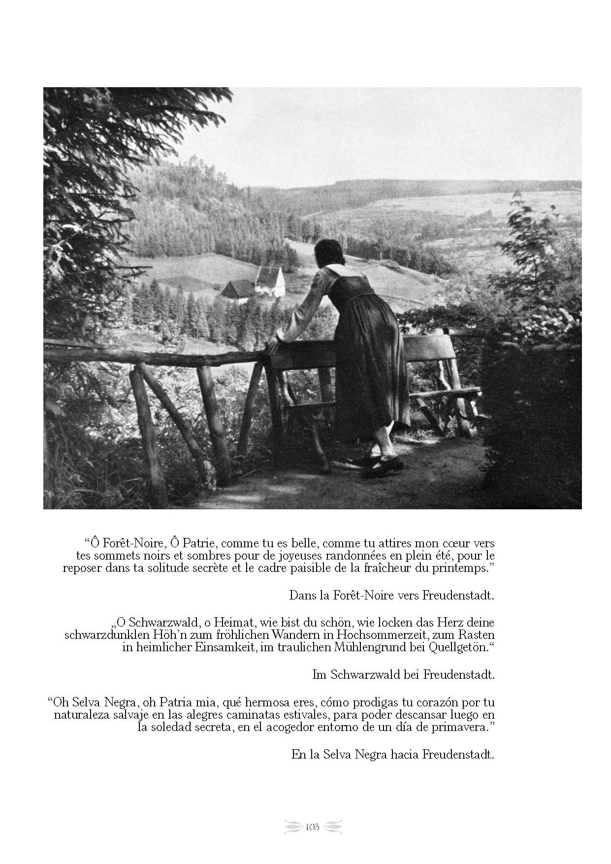 Atlas Wandervogel - Editions ACE