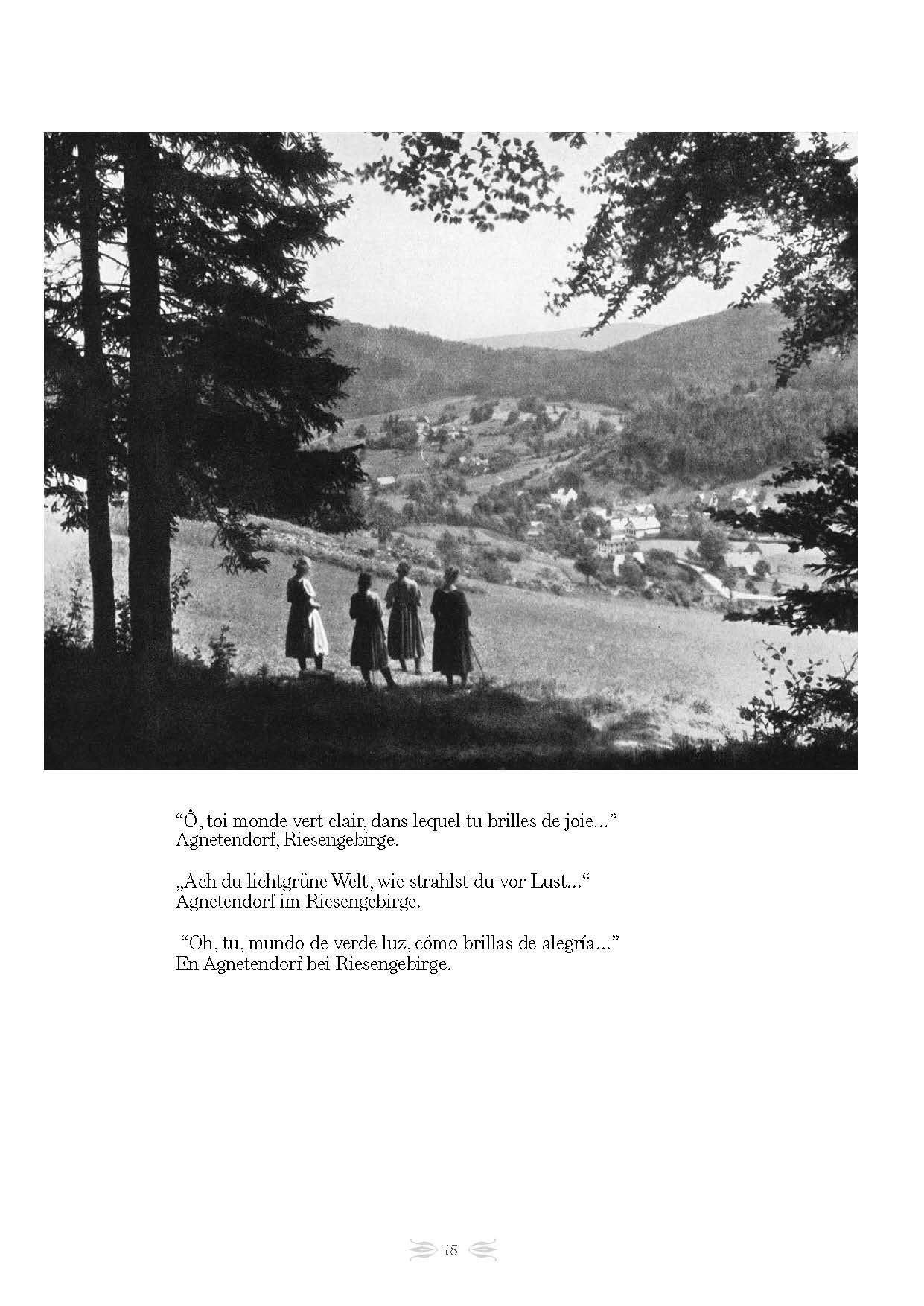 Atlas Wandervogel - Editions ACE